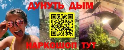индика Гай
