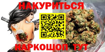 Альфа ПВП Гатчина