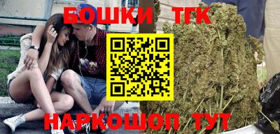 индика Гай