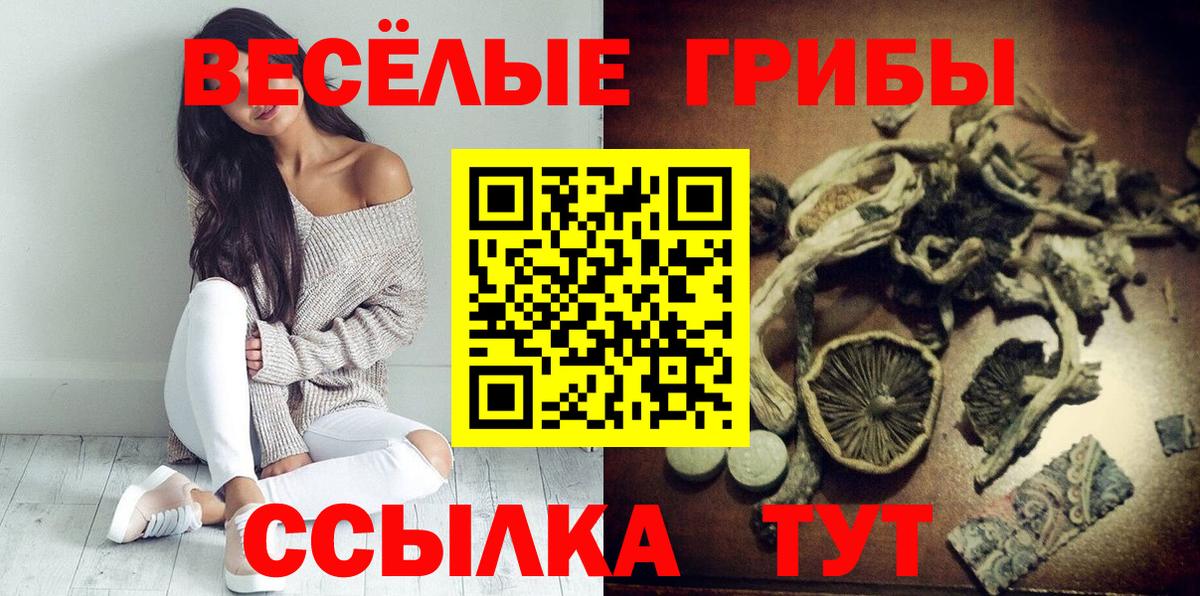 Нововоронеж  Галлюциногенные грибы Psilocybine cubensis  Вход с VPN  Псилоцибиновые грибы Magic Shrooms 