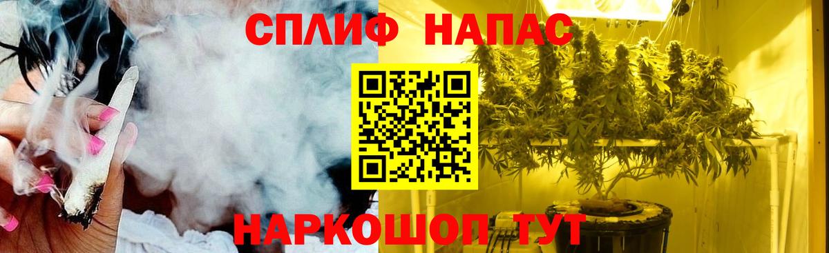 Бошки марихуана тримм  Бошки Шишки тримм  Бошки Шишки Amnesia  Нововоронеж  Вход с VPN 